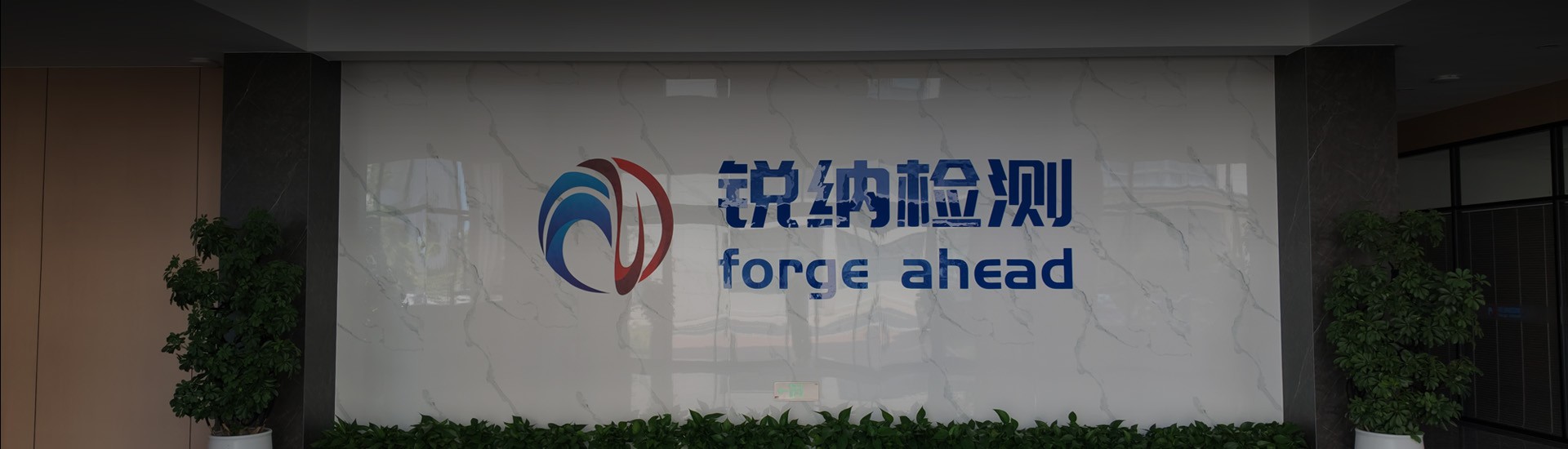 新闻资讯